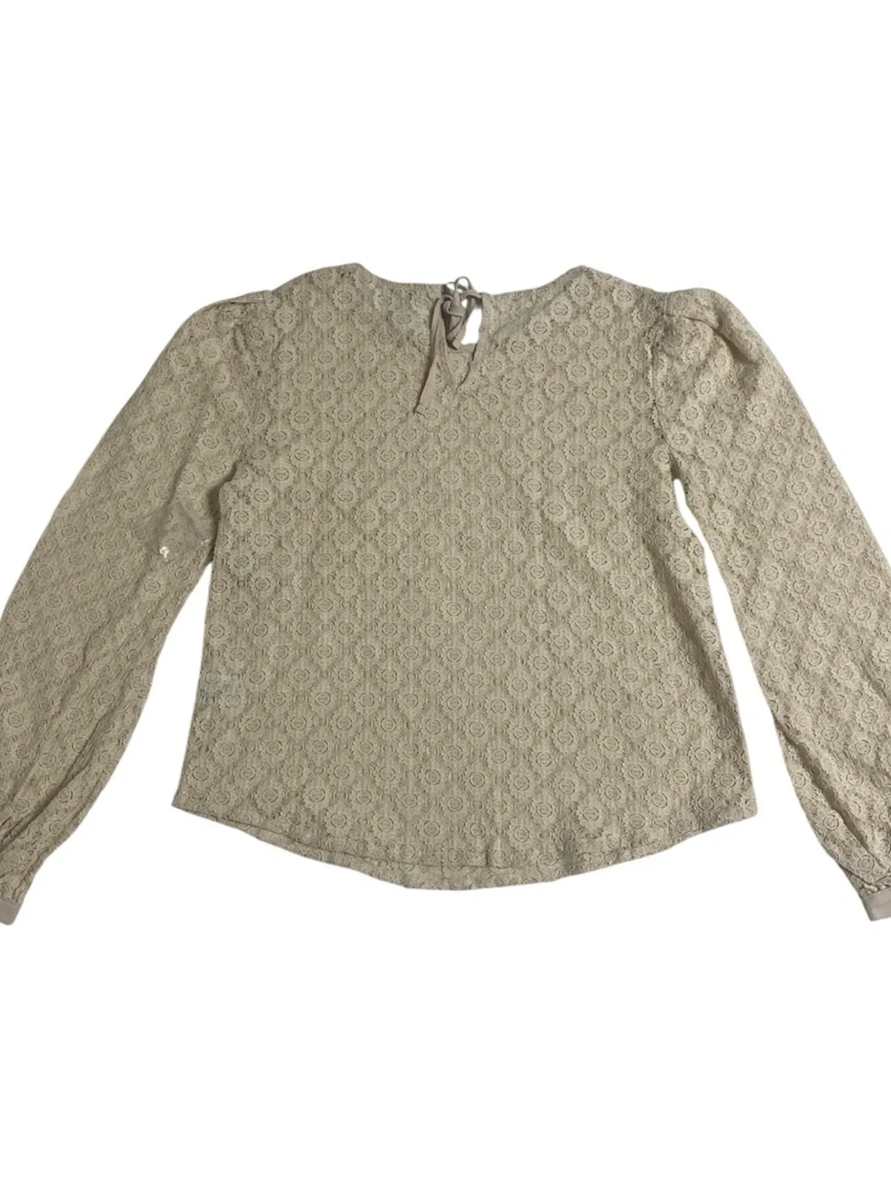 Anthropologie Hinge Beige Floral Lace Long-Sleeve Blouse